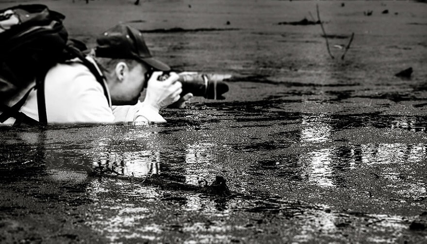 Photographes prêts à tout pour prendre le cliché parfait