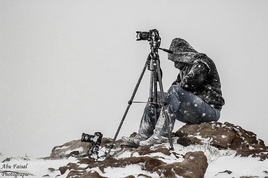Photographes prêts à tout pour prendre le cliché parfait