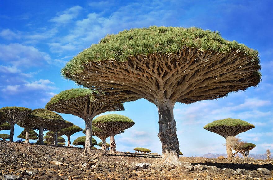 Photos endroits incroyables prises sur une autre planète