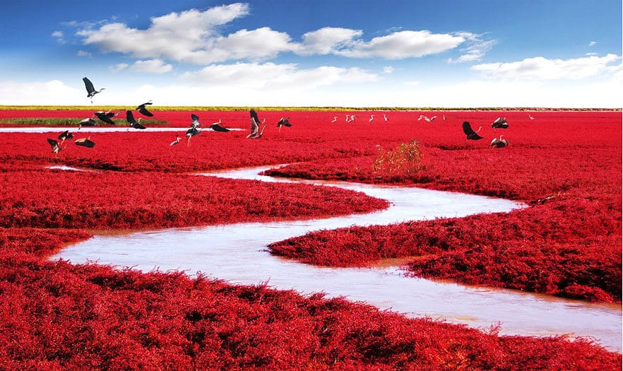 Photos endroits incroyables prises sur une autre planète