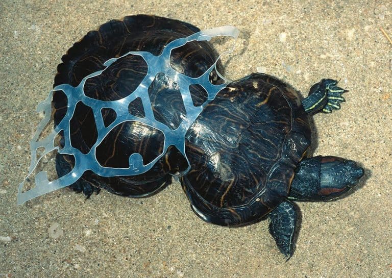 25 photos de la pollution dans le monde qui incitent à recycler Pollution Mondiale, recycler d'urgence, Journée de la Terre