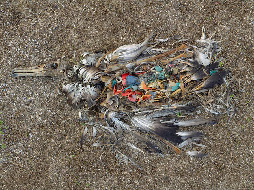 Pollution Mondiale, recycler d'urgence, Journée de la Terre