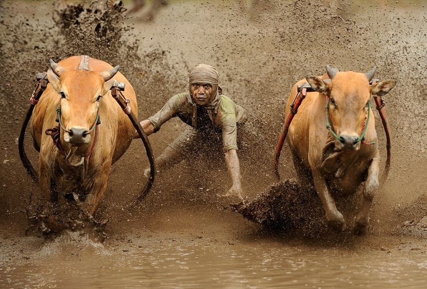Sports les plus insolites, étranges et bizarres au monde