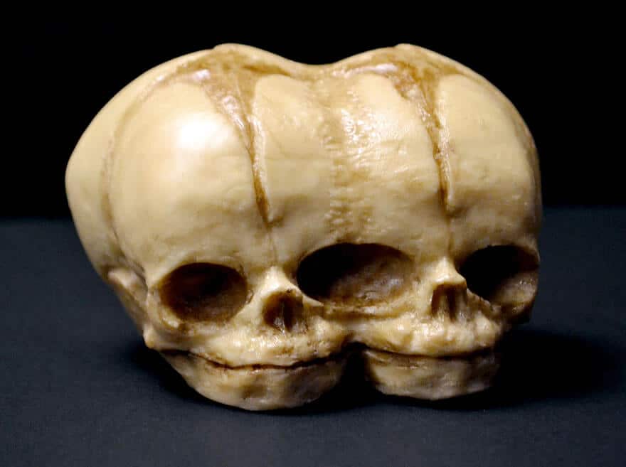 Annabel de Vetten, gâteaux morbides, art culinaire