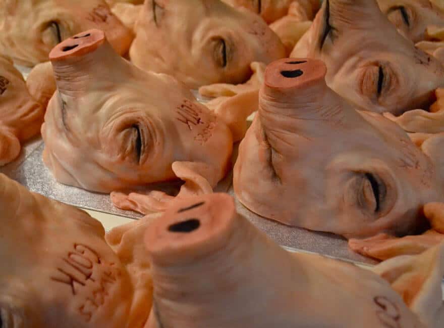 Annabel de Vetten, gâteaux morbides, art culinaire