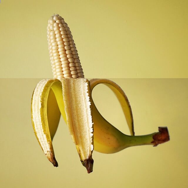 Combophoto, Stephen Mcmennamy, mashup