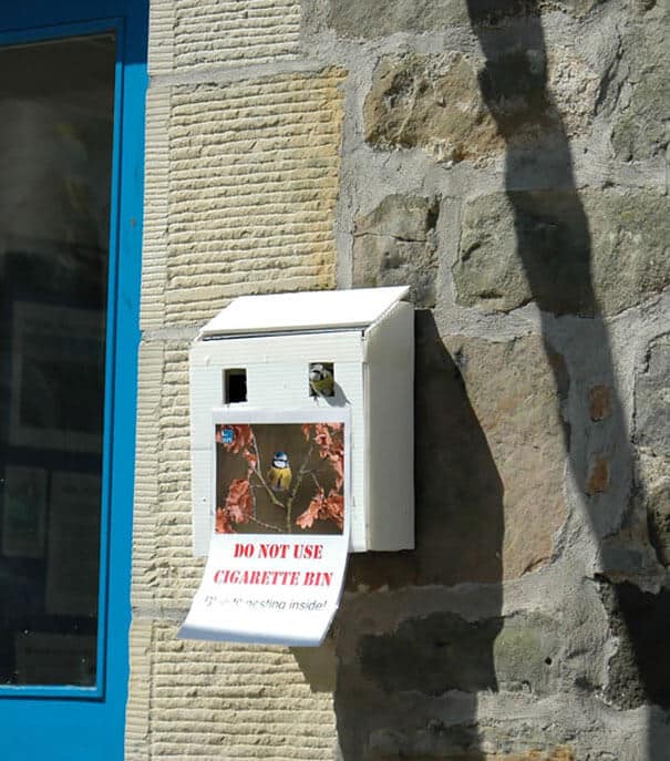 nids d'oiseaux, lieux insolites