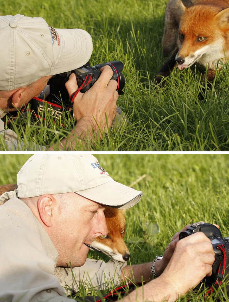 animaux apprentis photographes