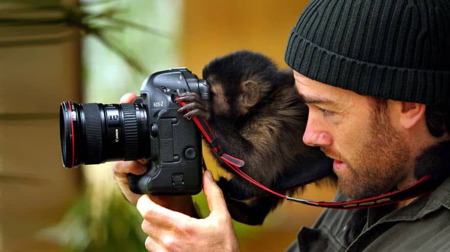 animaux apprentis photographes