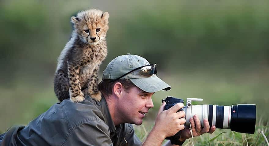 animaux apprentis photographes
