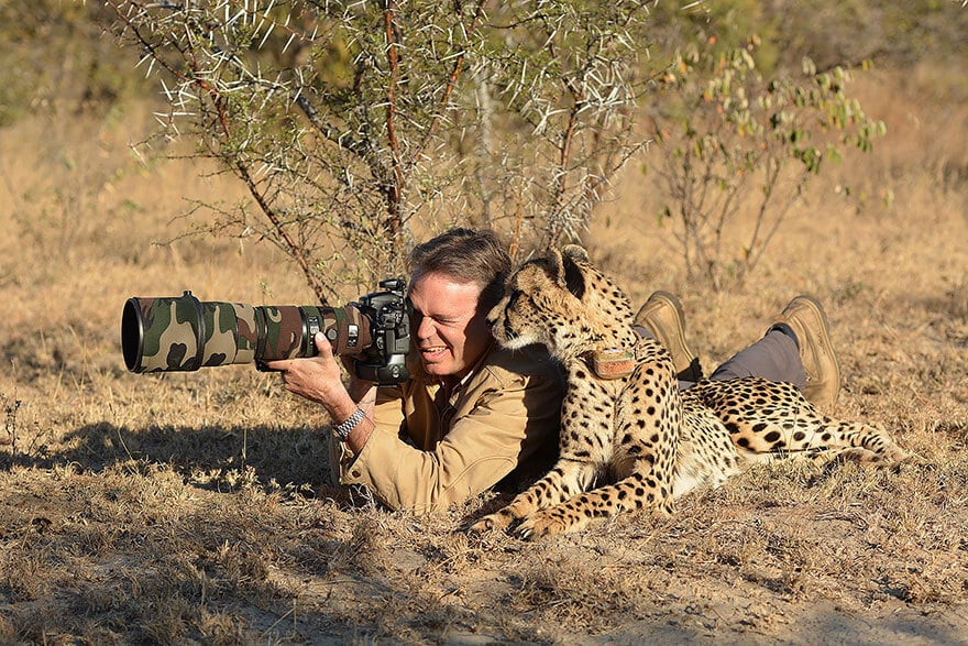 animaux apprentis photographes