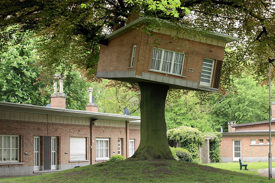 architecture autour d'arbres