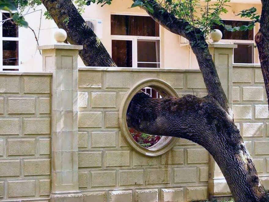 architecture autour d'arbres