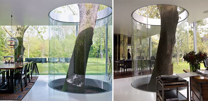architecture autour d'arbres