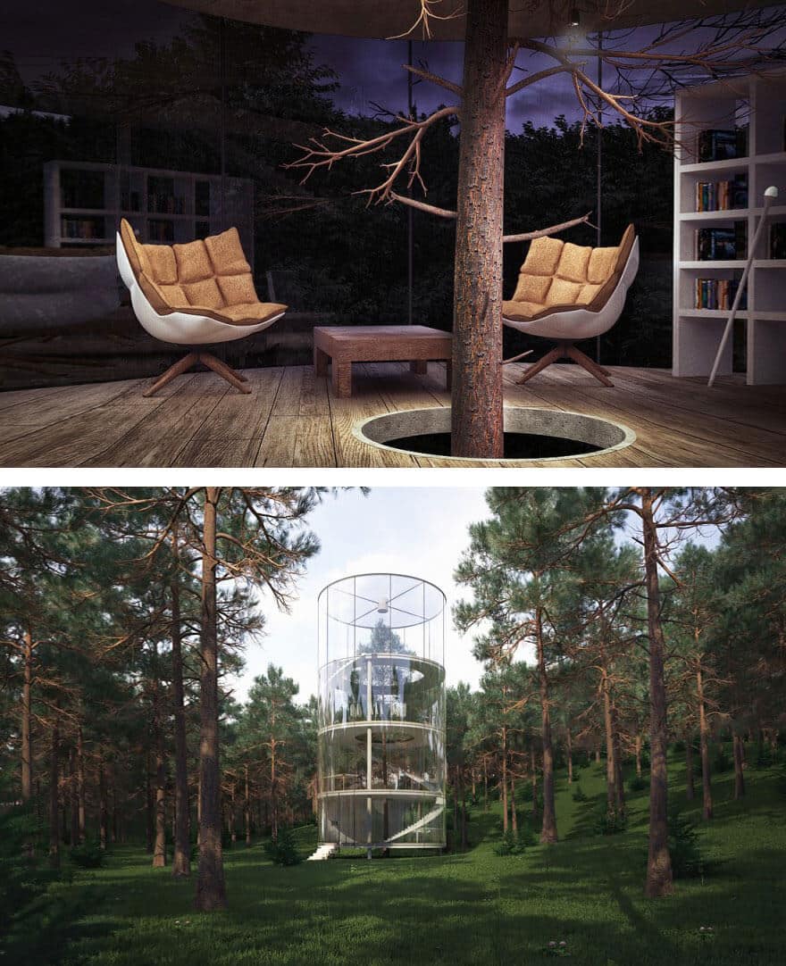architecture autour d'arbres