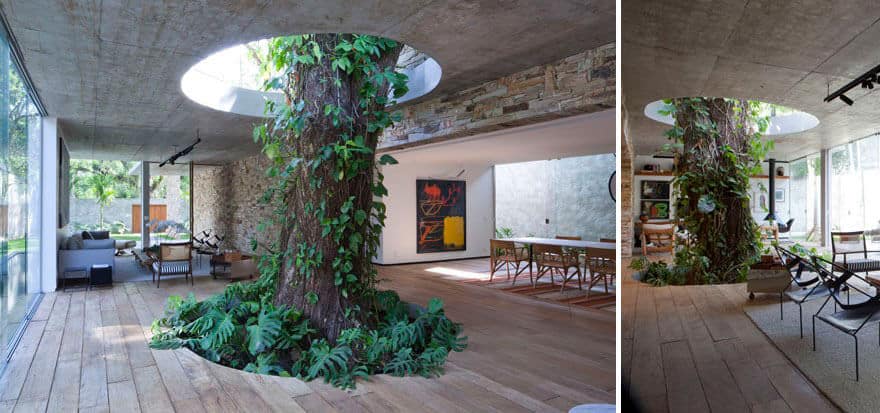 architecture autour d'arbres