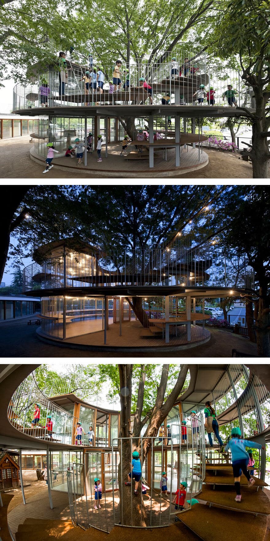 architecture autour d'arbres