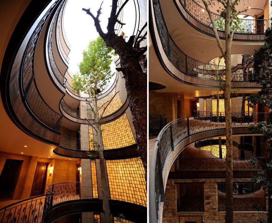 architecture autour d'arbres