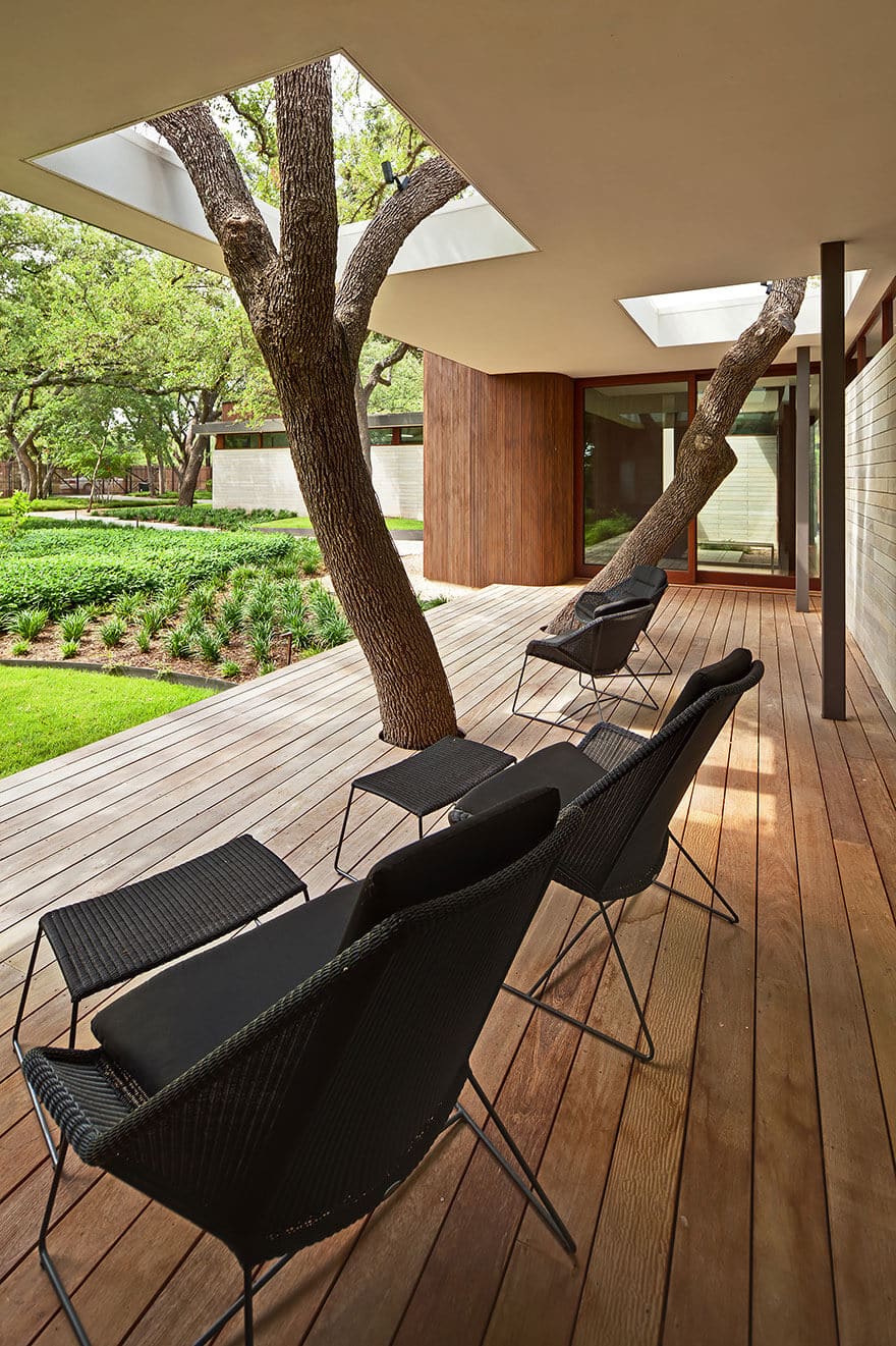 architecture autour d'arbres