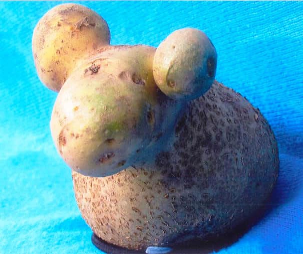 fruits et légumes difformes