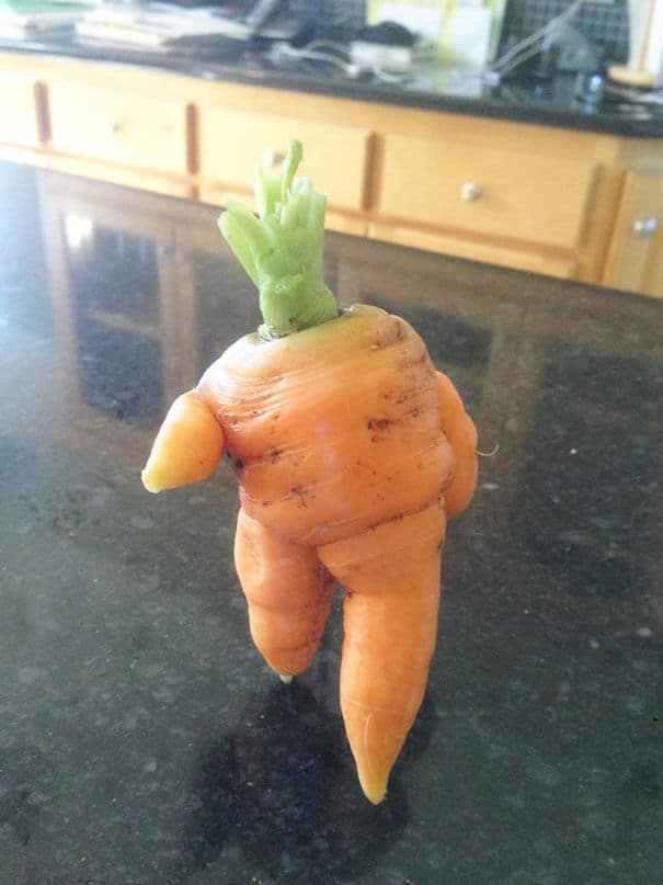 fruits et légumes difformes