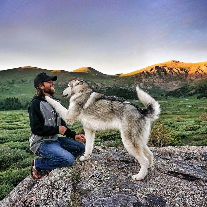 Loki, husky, aventure, ami
