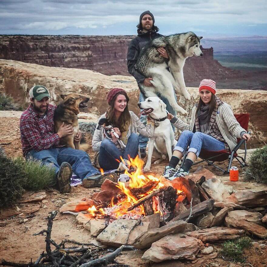 Loki, husky, aventure, ami