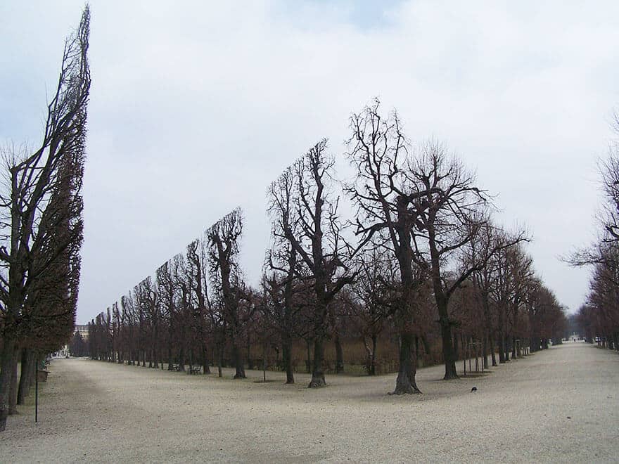 photos, irréelles, réelles