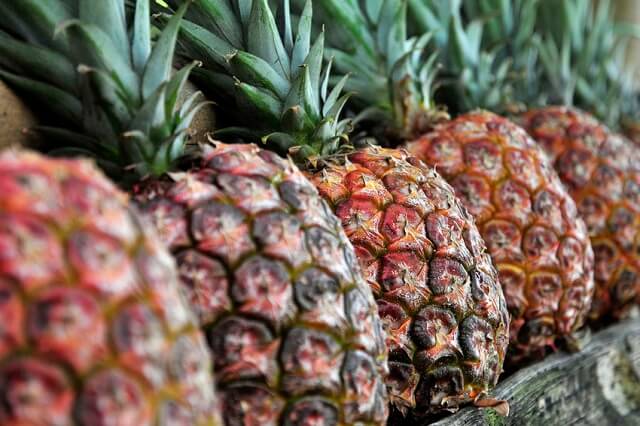faire repousser un ananas
