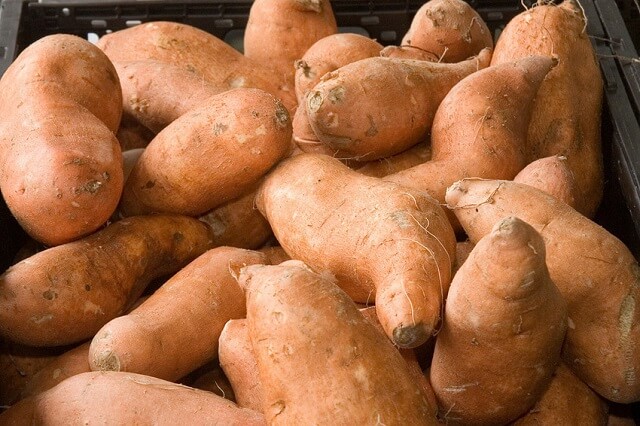 faire repousser des patates