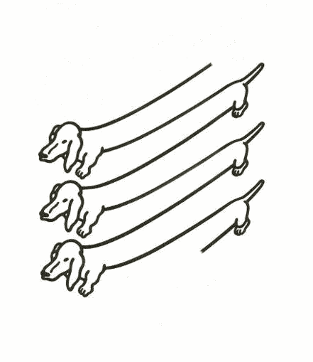 illusion d'optique