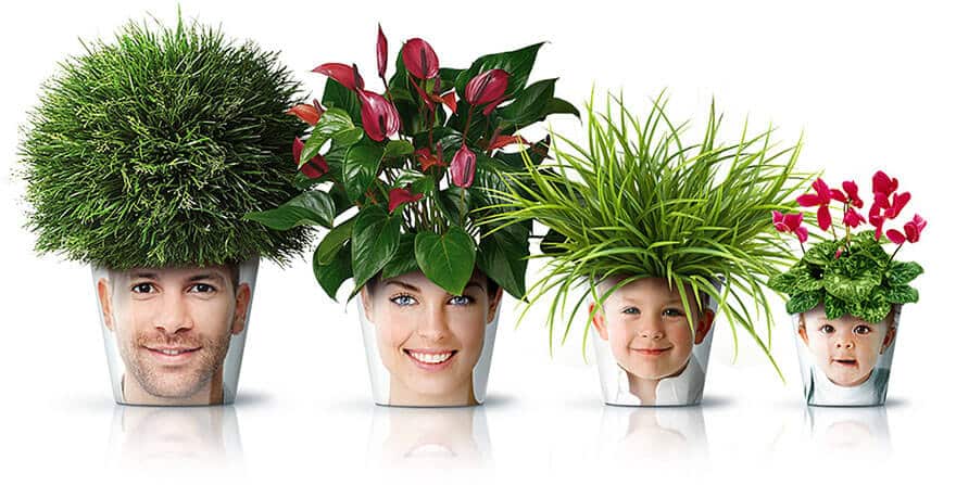 pots de fleurs créatifs et originaux