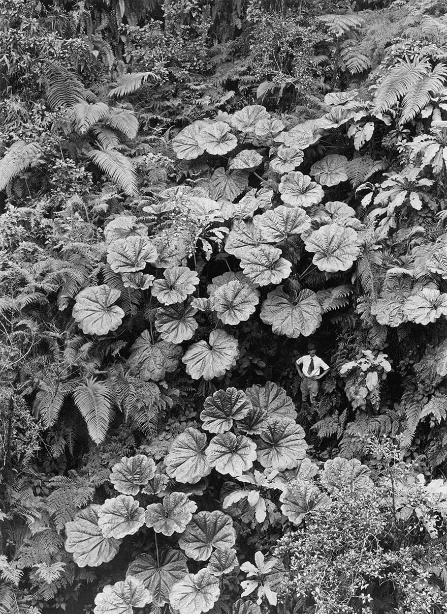 photos-archives-national-geographic-non-publiees-23