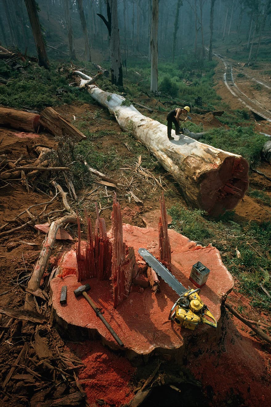 photos-archives-national-geographic-non-publiees-28
