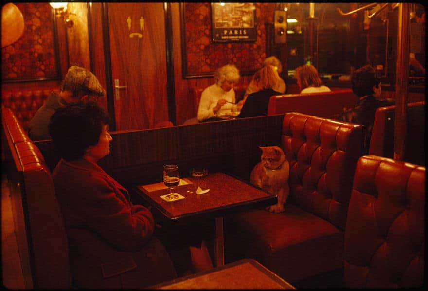 photos-archives-national-geographic-non-publiees-5