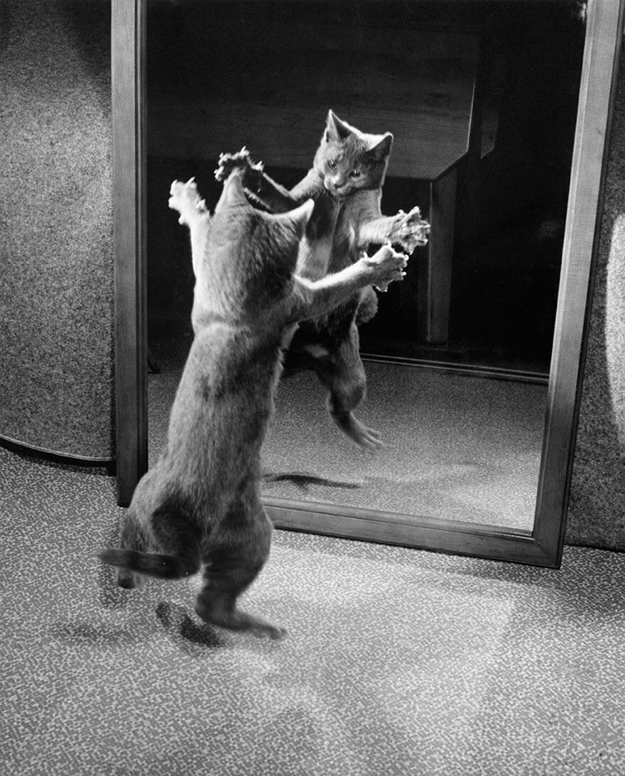 photos-archives-national-geographic-non-publiees-6