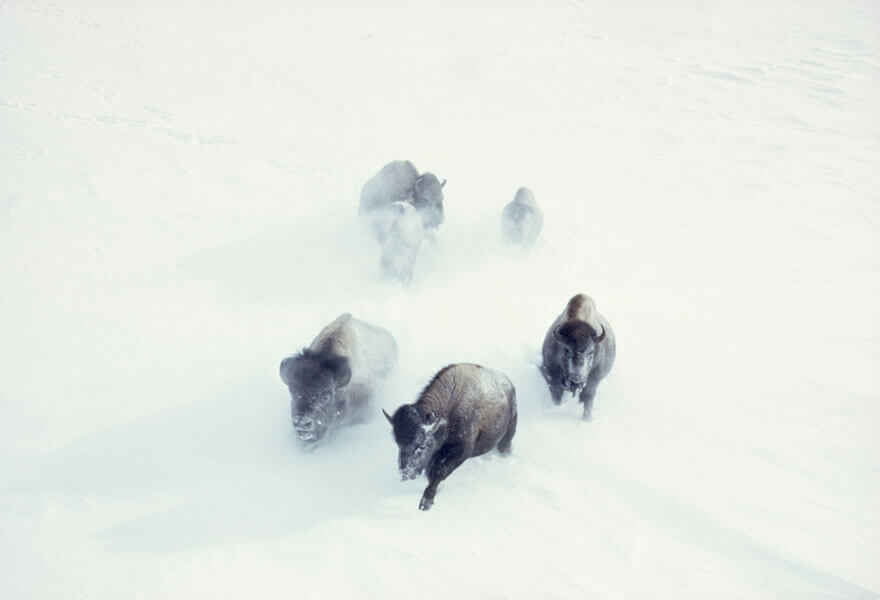 photos-archives-national-geographic-non-publiees-8