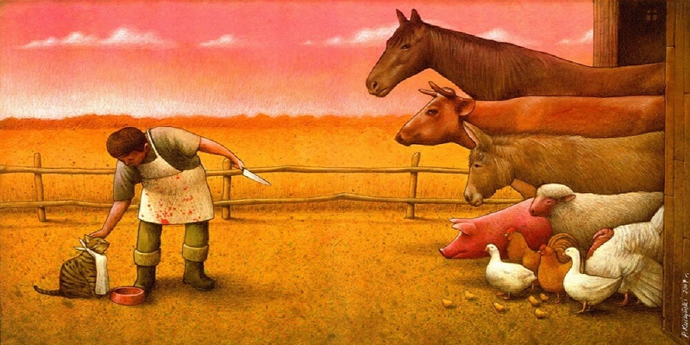 Double standards, Amour, Animaux