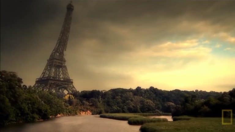 Que se passerait-il si les humains disparaissaient soudainement de la Terre ? Que se passerait-il si l'Homme disparaissait ?