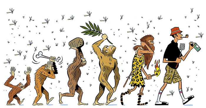 Image satirique de l'évolution de l'homme