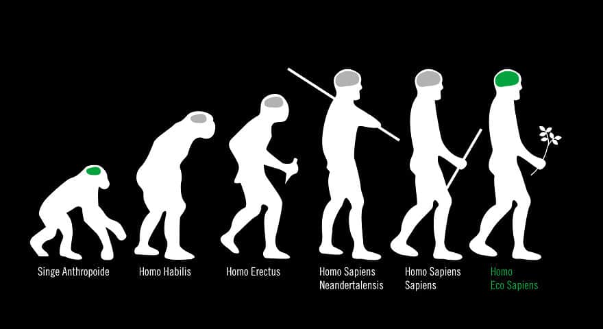 Image satirique de l'évolution de l'homme