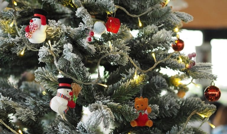 Nordmann, épicéa, DIY… Quel choix faire pour votre sapin de Noël ?