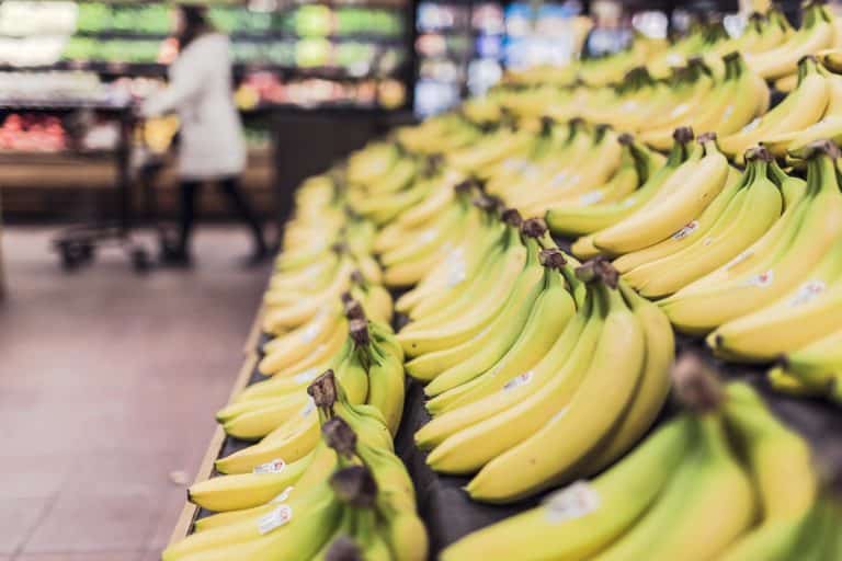 The Food Life, une application pour limiter le gaspillage des supermarchés