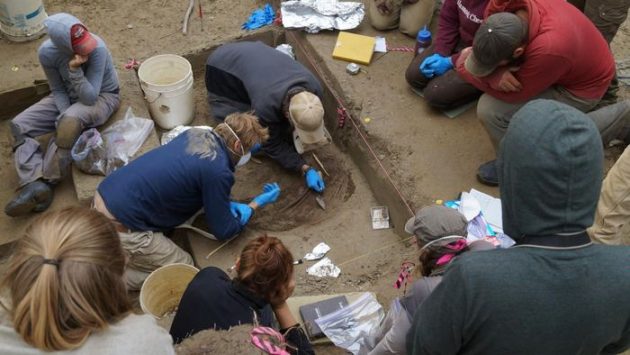 Les origines du peuple américain dévoilées par l’ADN d’un nourrisson préhistorique amérique