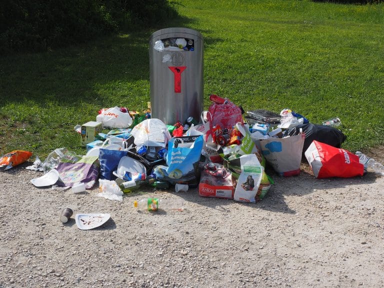 Une fillette de neuf ans en guerre contre la pollution plastique plastique