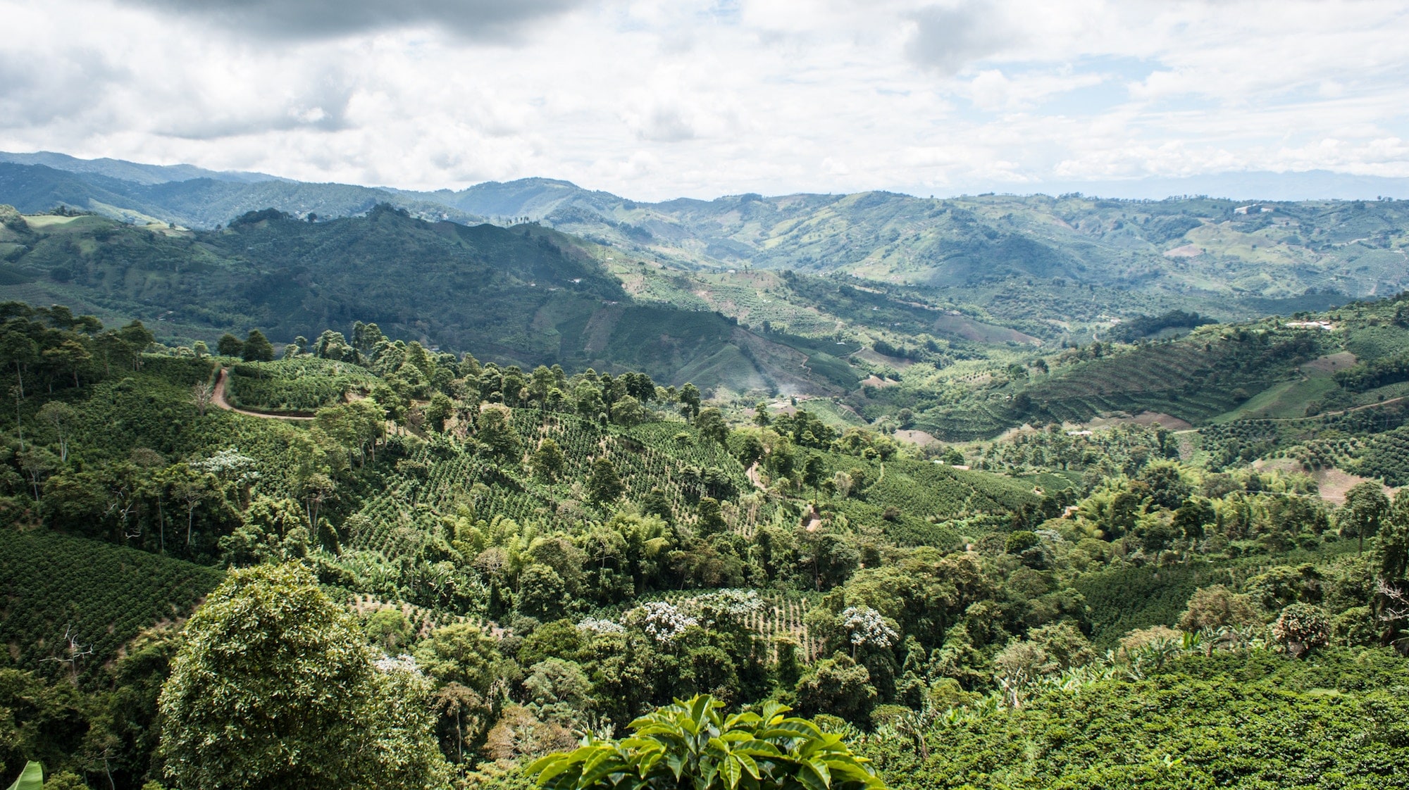 colombie