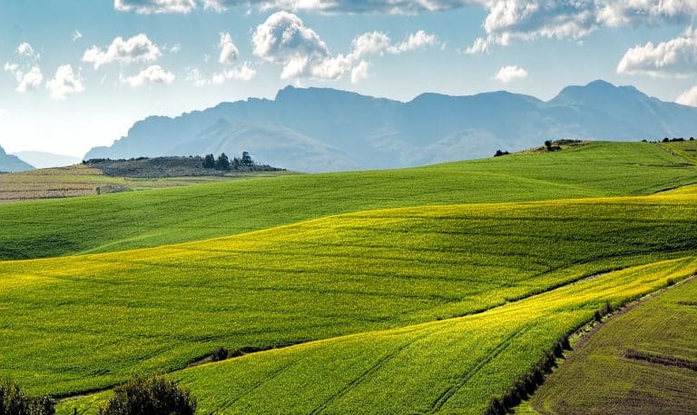 Comment protéger la planète toute en produisant des aliments ?
