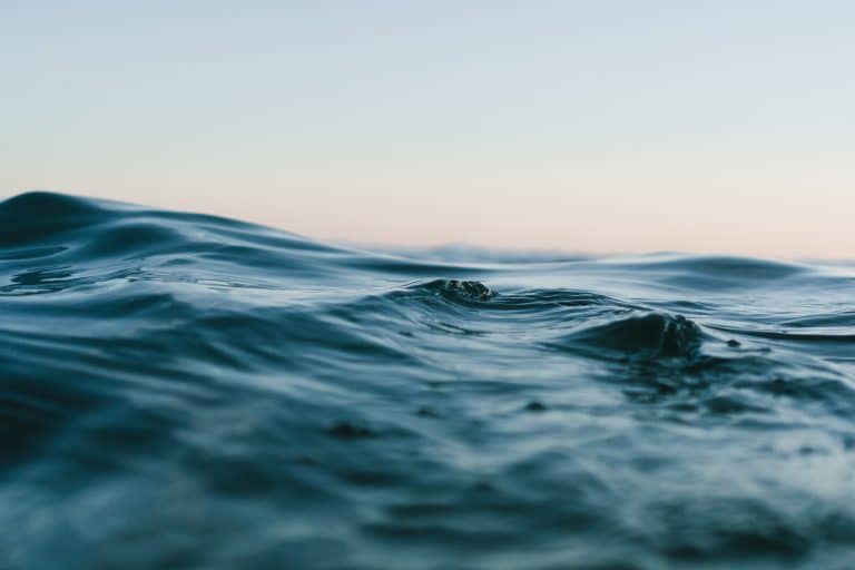 Sur sa cabane de pêche, il dérive dans le Pacifique durant 49 jours dérive