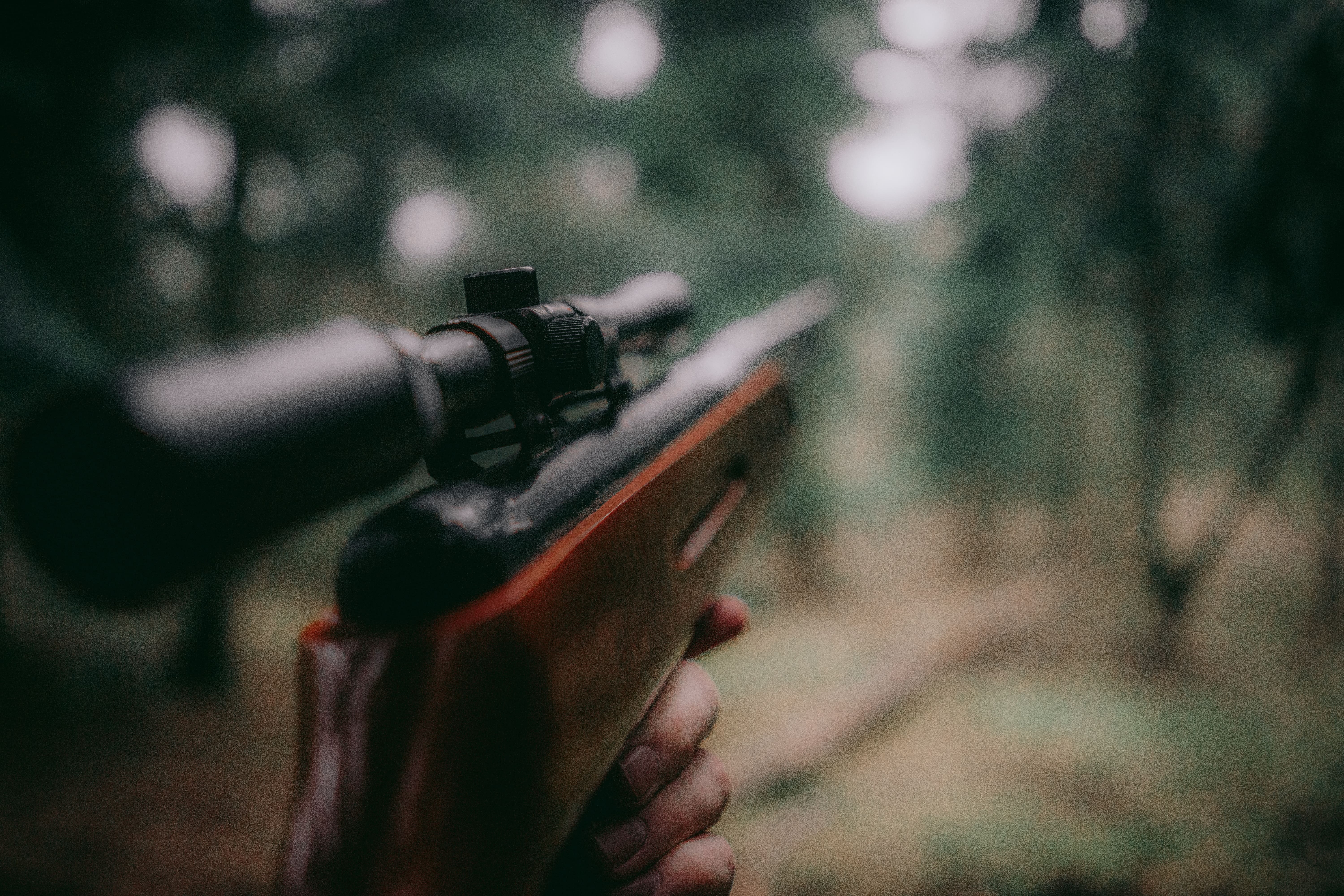 chasseur