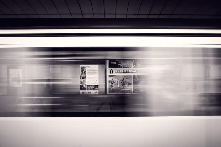 Une femme russe monte dans le métro de Moscou avec un renard ?